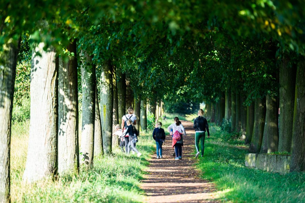 Bossen bij Heusden