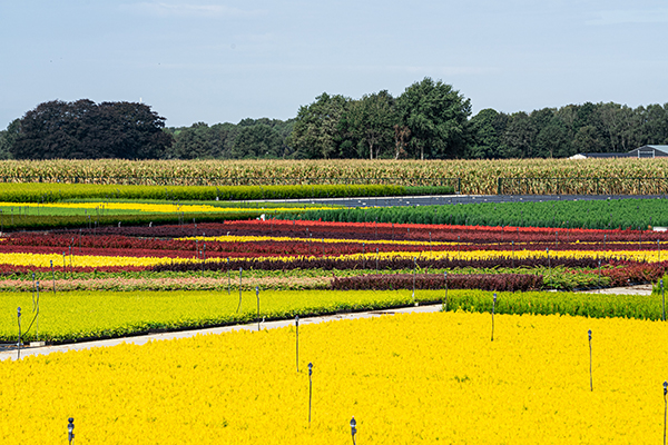 Regionale klimaatagenda vastgesteld