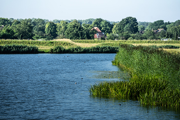 Uitgangspunten voor kwaliteitsverbetering landschap