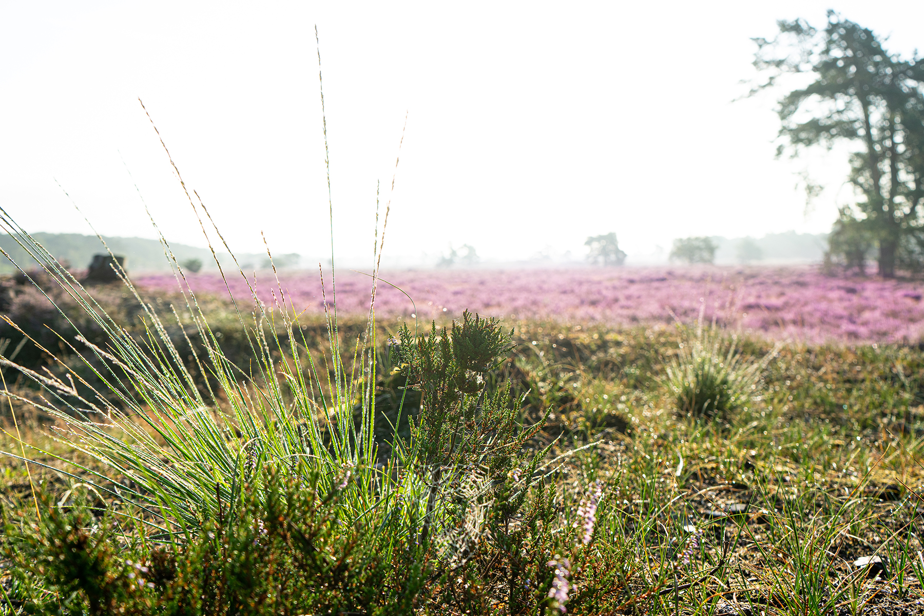 Actie nodig voor natuuropgaven