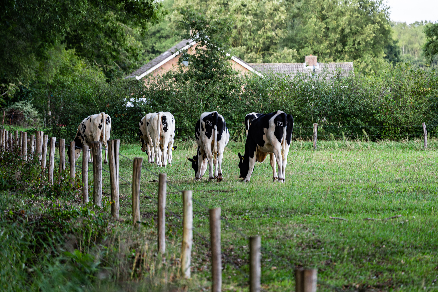 Op naar een toekomstbestendig landelijk gebied