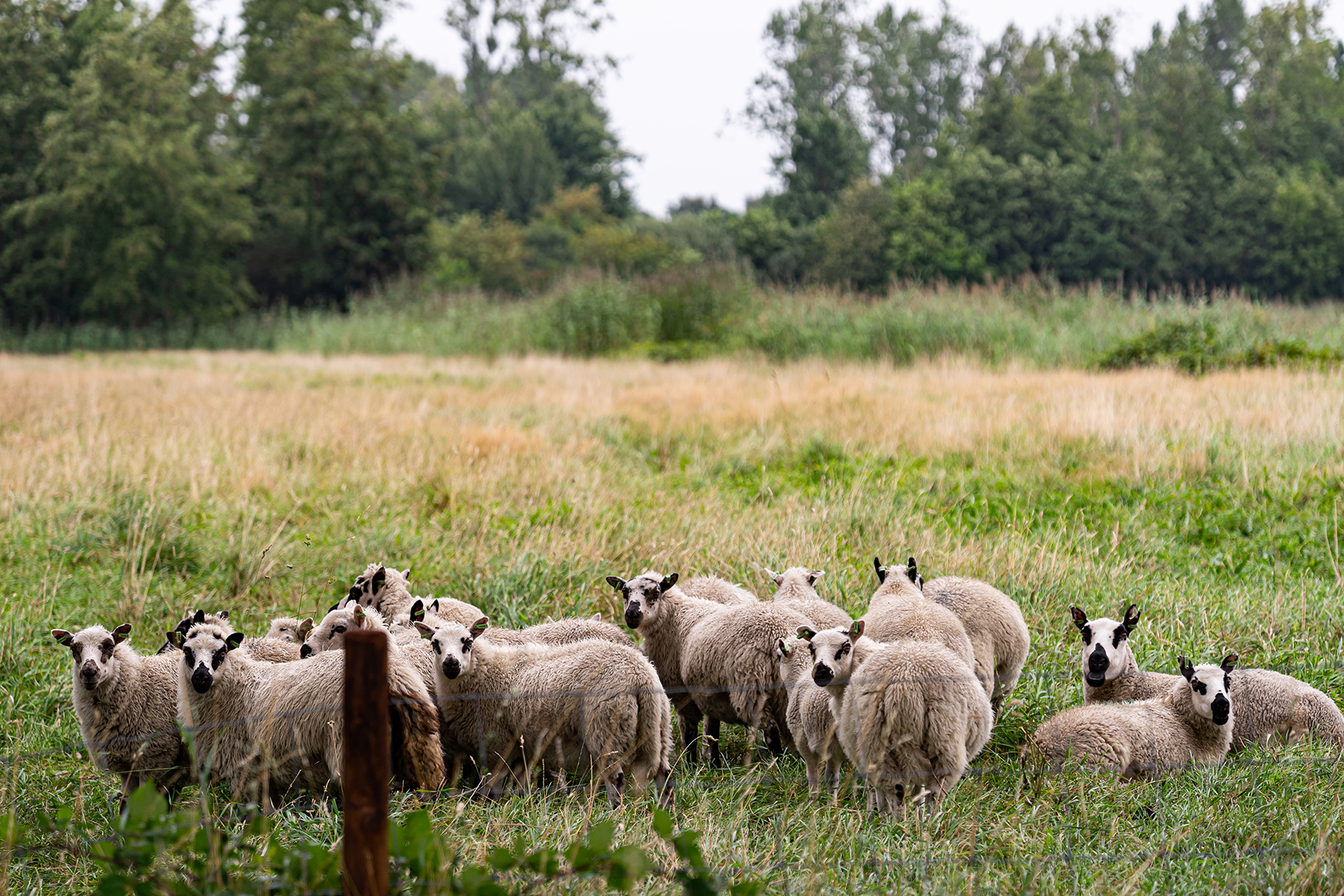 Een goed gesprek over toekomstbestendig landelijk gebied